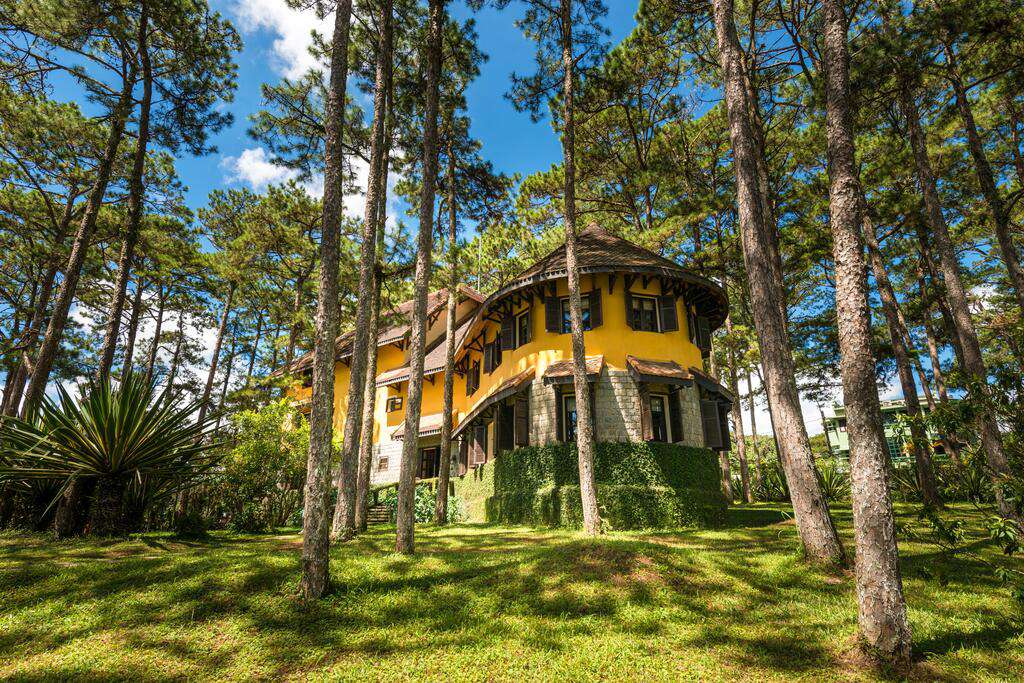 Ana Mandara Villas Resort được bap phủ xung quanh là hàng thông già xanh ngát